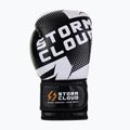 Рукавиці боксерські StormCloud Bolt 3.0 black/white 4