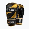 Рукавиці боксерські StormCloud Lynx 2.0 black/gold 2