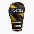 Рукавиці боксерські StormCloud Lynx 2.0 black/gold 4