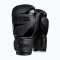 Рукавиці боксерські StormCloud Lynx 2.0 black/black 2