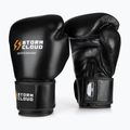 Рукавиці боксерські StormCloud Muay Thai Blizzard 2.0 black/white
