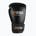 Рукавиці боксерські StormCloud Muay Thai Blizzard 2.0 black/white 2
