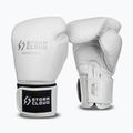 Рукавиці боксерські StormCloud Muay Thai Blizzard 2.0 white/silver