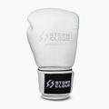 Рукавиці боксерські StormCloud Muay Thai Blizzard 2.0 white/silver 2