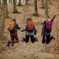 Рюкзак туристичний Alpinus Tarfala 35 l mustard 4
