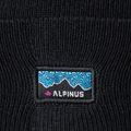 Шапка зимова Alpinus Dunree black 2