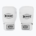 Рукавиці боксерські WINDY Classic Synthetic Leather white 2