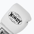 Рукавиці боксерські WINDY Classic Synthetic Leather white 5