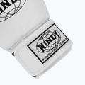 Рукавиці боксерські WINDY Classic Synthetic Leather white 6