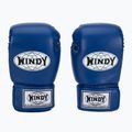 Рукавиці боксерські WINDY Classic Synthetic Leather blue 2
