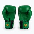 Рукавиці боксерські RAJA BOXING Single Standard Genuine Leather green 3