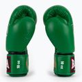 Рукавиці боксерські RAJA BOXING Single Standard Genuine Leather green 4