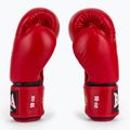 Рукавиці боксерські RAJA BOXING Single Standard Genuine Leather red 4