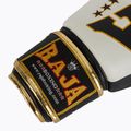 Рукавиці боксерські RAJA BOXING Origin Standard Genuine Leather white 6