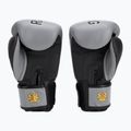 Рукавиці боксерські RAJA BOXING "Porshe Design" 2
