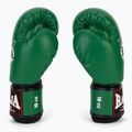 Рукавиці боксерські RAJA BOXING Single Semi Leather green 4