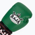 Рукавиці боксерські RAJA BOXING Single Semi Leather green 5