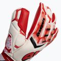 Рукавиці воротарські 4keepers Force V 4.20 HB білі/червоні 3