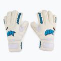 Рукавиці воротарські 4keepers Champ Aqua V RF білі/блакитні