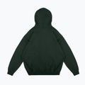 Кофта чоловіча PROSTO Biolog Hoodie khaki 2