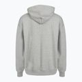 Кофта чоловіча PROSTO Chicago Hoodie gray 2