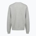 Кофта чоловіча PROSTO Old Logo Crewneck gray 2