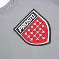 Кофта чоловіча PROSTO Big Shield Crewneck gray 3