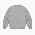 Кофта чоловіча PROSTO Big Shield Crewneck gray 2
