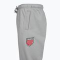 Штани чоловічі PROSTO Big Shield gray 3