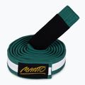 Пояс дитячий BJJ MANTO Tag зелений MNA867_GRN/WHT_M2