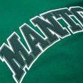Кофта чоловіча MANTO Varsity green 3