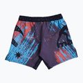 Шорти для тренувань чоловічі MANTO Livings multicolour 2