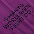Рашгард чоловічий MANTO Ranked purple 5