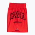 Шорти боксерські чоловічі MANTO Varsity червоний 3