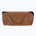 Сонцезахисні окуляри жіночі GOG Hazel fashion black / brown demi / gradient smoke E808-1P 5
