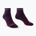 Жіночі трекінгові шкарпетки Bridgedale Hike Midweight Performance Ankle dark purple