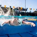 Трубка для плавання налобна FINIS Stability Snorkel sage 3