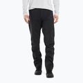 Штани з мембраною чоловічі Arc'teryx Beta black