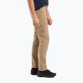 Штани софтшел чоловічі Arc'teryx Gamma LT canvas 4