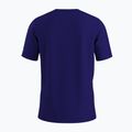 Футболка чоловіча Arc'teryx Ionia Merino Wool Logo soulsonic / electra 2