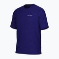 Футболка трекінгова чоловіча Arc'teryx Cormac Arc'bird Logo soulsonic heather / moonstone 3