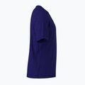 Футболка трекінгова чоловіча Arc'teryx Cormac Arc'bird Logo soulsonic heather / moonstone 4