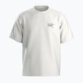 Футболка чоловіча Arc'teryx Kragg Cotton Logo white light / soul