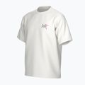 Футболка чоловіча Arc'teryx Kragg Cotton Logo white light / soul 3