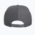 Кепка Arcteryx Bird Word Trucker black /cloud 3
