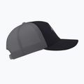 Кепка Arcteryx Bird Word Trucker black /cloud 4
