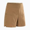 Шорти трекінгові Arc'Teryx Aestas canvas 6