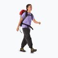 Жіноча футболка Arc'teryx Kragg Sl Cotton Emblem Crew aster 2