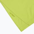 Футболка чоловіча Arcteryx Cormac Logo mantis 3