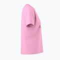 Футболка жіноча Arcteryx Kragg SL Cotton Heatmap Crew pineberry 4